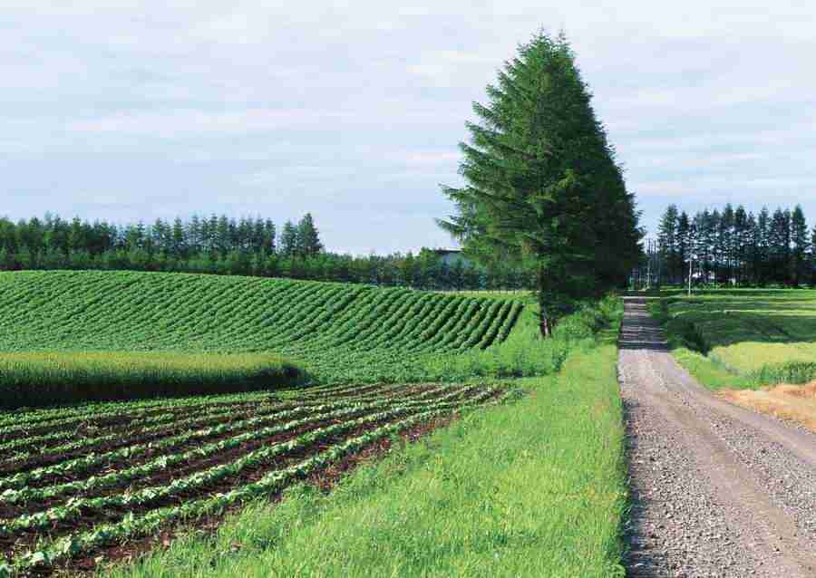 Landscapes Featuring Roads - Datacraft Sozaijiten  ></a>
<script language=JavaScript> 
  var txt = 