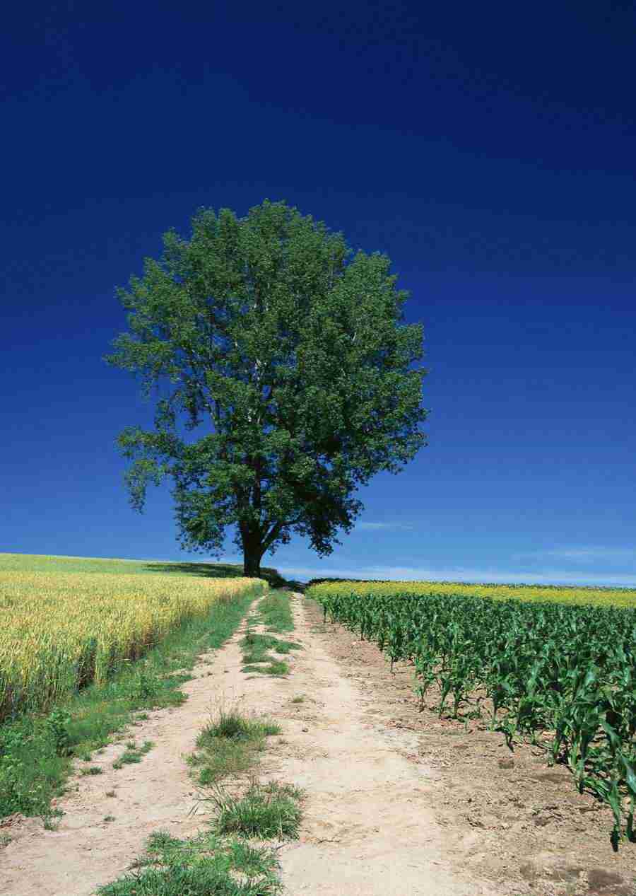 Landscapes Featuring Roads - Datacraft Sozaijiten  ></a>
<script language=JavaScript> 
  var txt = 