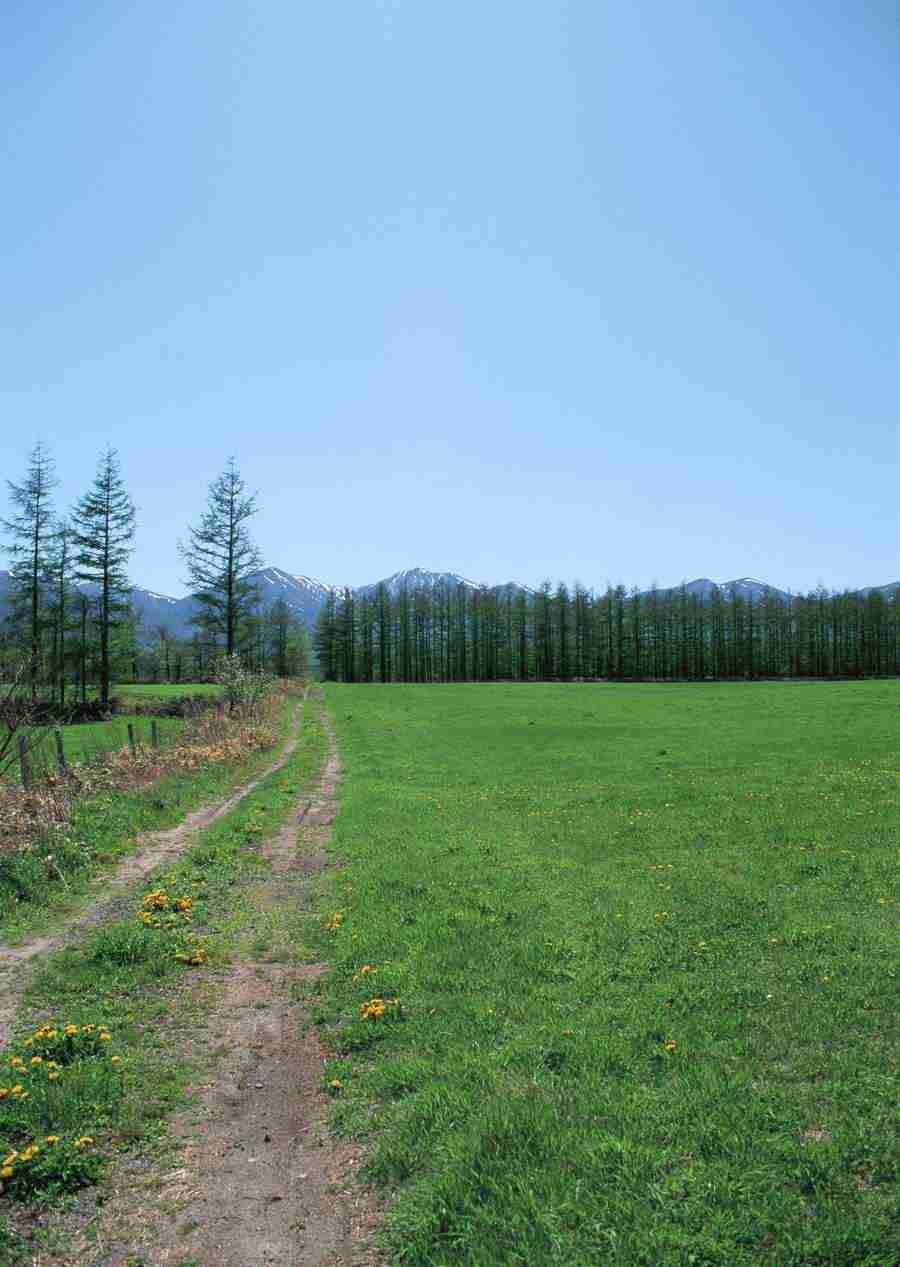 Landscapes Featuring Roads - Datacraft Sozaijiten  ></a>
<script language=JavaScript> 
  var txt = 