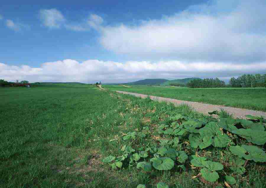 Landscapes Featuring Roads - Datacraft Sozaijiten  ></a>
<script language=JavaScript> 
  var txt = 