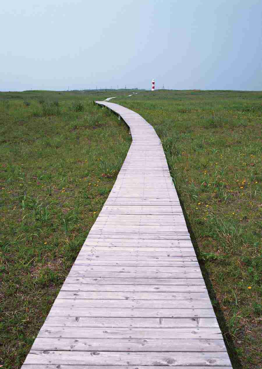 Landscapes Featuring Roads - Datacraft Sozaijiten  ></a>
<script language=JavaScript> 
  var txt = 