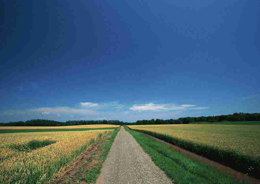 Landscapes Featuring Roads - Datacraft Sozaijiten  ></a>
<script language=JavaScript> 
  var txt = 