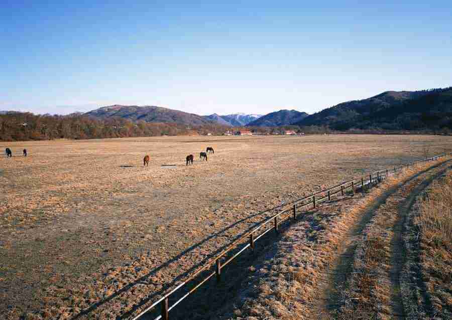 Landscapes Featuring Roads - Datacraft Sozaijiten  ></a>
<script language=JavaScript> 
  var txt = 