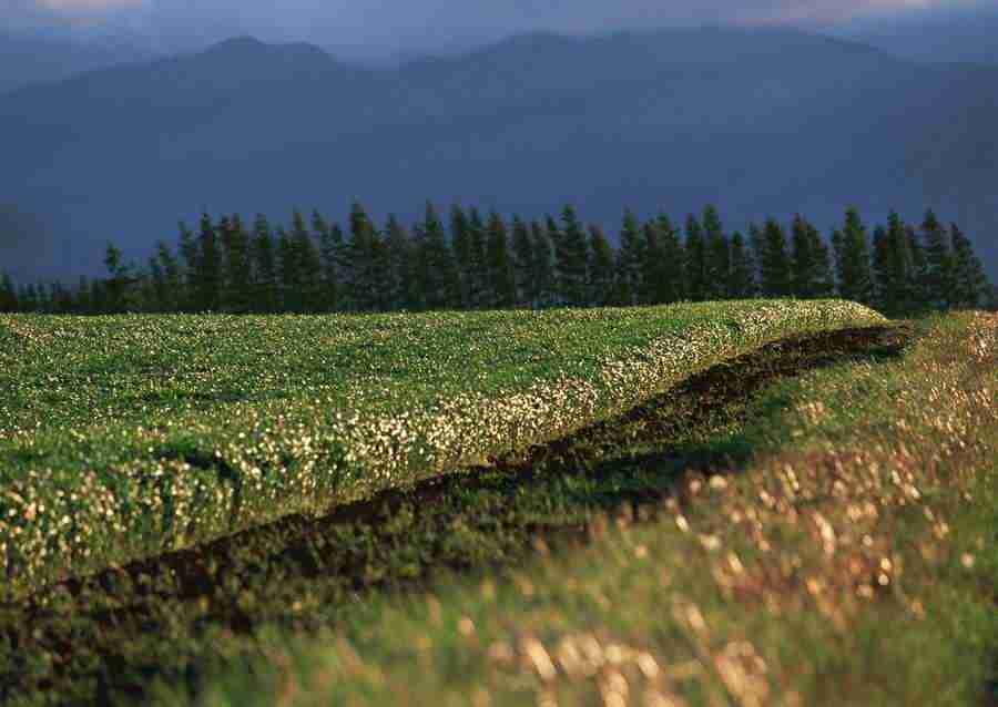 Landscapes Featuring Roads - Datacraft Sozaijiten  ></a>
<script language=JavaScript> 
  var txt = 