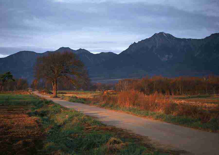 Landscapes Featuring Roads - Datacraft Sozaijiten  ></a>
<script language=JavaScript> 
  var txt = 