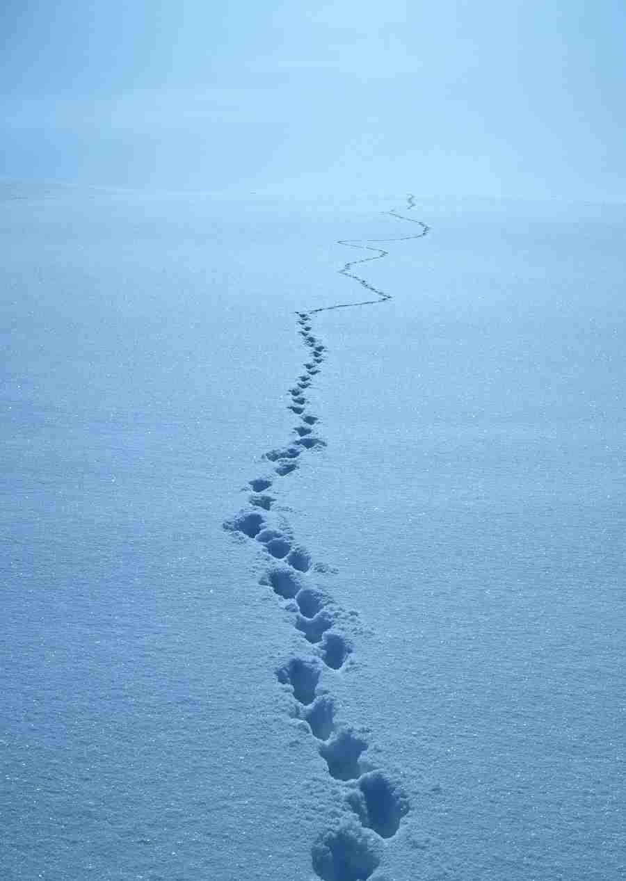 Landscapes Featuring Roads - Datacraft Sozaijiten  ></a>
<script language=JavaScript> 
  var txt = 