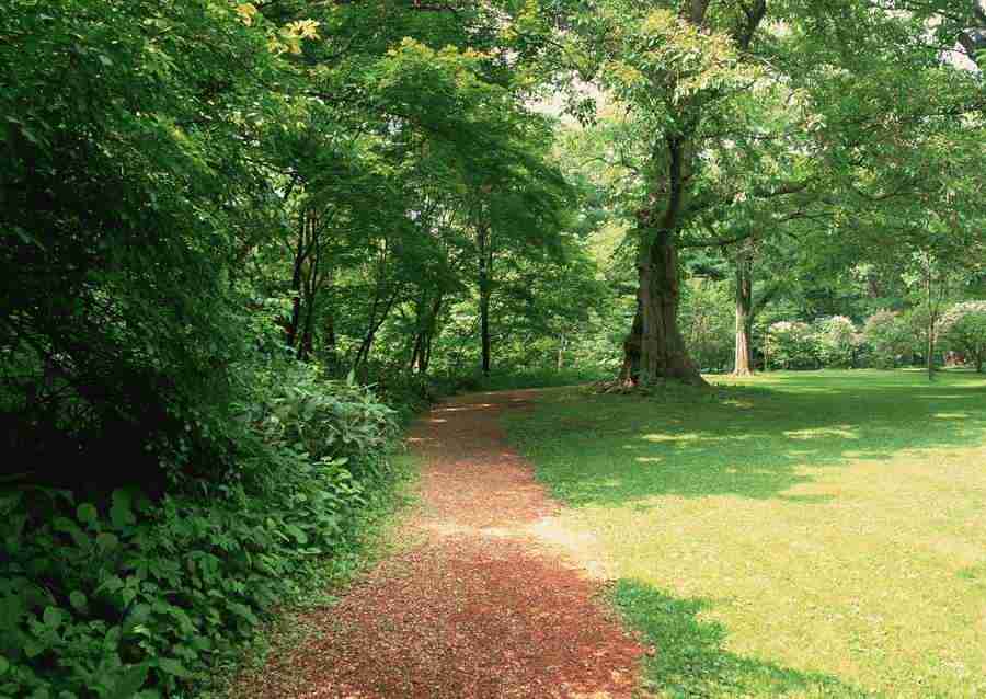 Landscapes Featuring Roads - Datacraft Sozaijiten  ></a>
<script language=JavaScript> 
  var txt = 