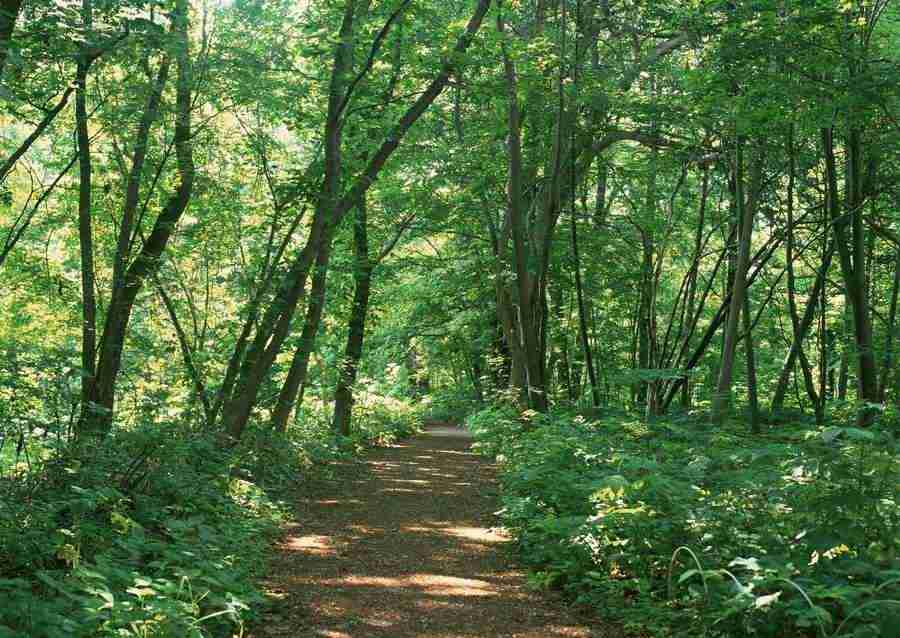 Landscapes Featuring Roads - Datacraft Sozaijiten  ></a>
<script language=JavaScript> 
  var txt = 