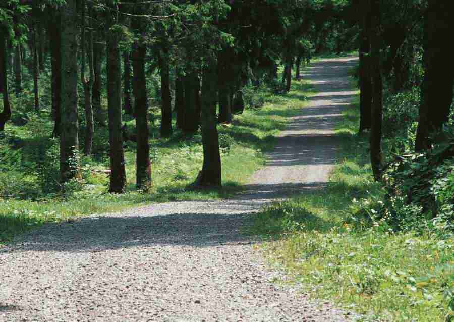 Landscapes Featuring Roads - Datacraft Sozaijiten  ></a>
<script language=JavaScript> 
  var txt = 