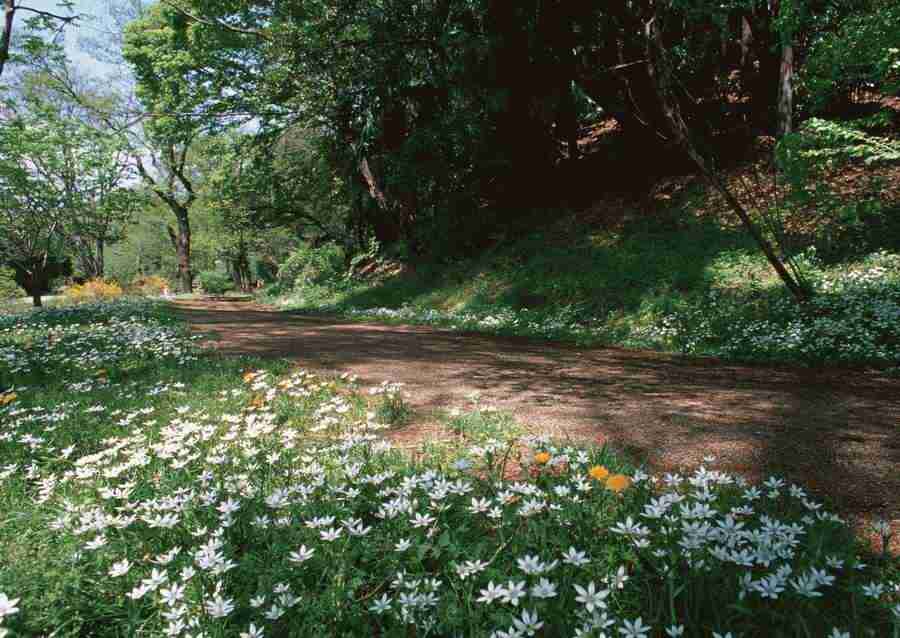 Landscapes Featuring Roads - Datacraft Sozaijiten  ></a>
<script language=JavaScript> 
  var txt = 