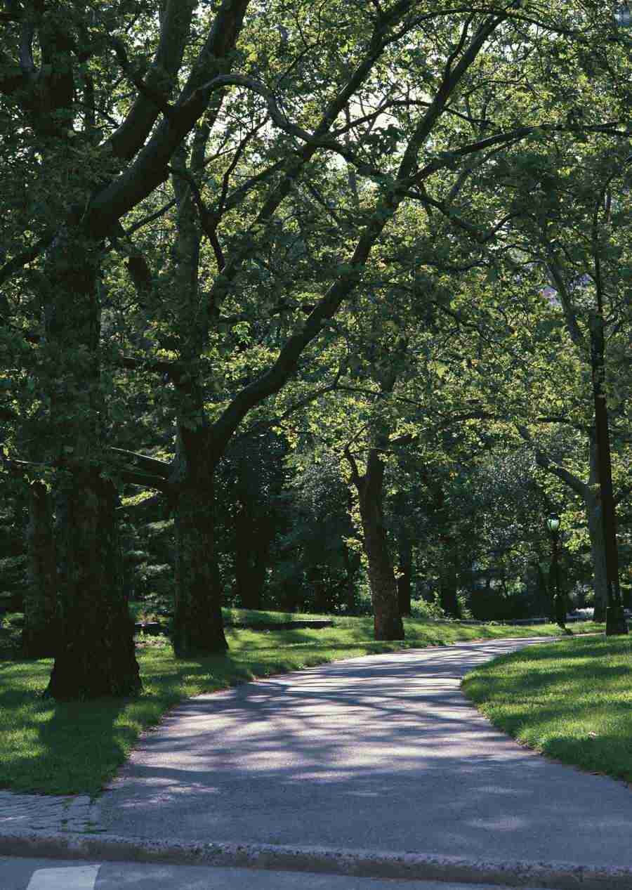 Landscapes Featuring Roads - Datacraft Sozaijiten  ></a>
<script language=JavaScript> 
  var txt = 