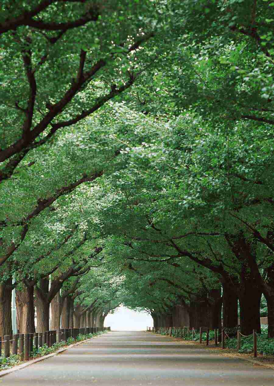 Landscapes Featuring Roads - Datacraft Sozaijiten  ></a>
<script language=JavaScript> 
  var txt = 