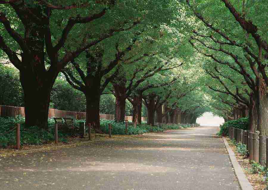 Landscapes Featuring Roads - Datacraft Sozaijiten  ></a>
<script language=JavaScript> 
  var txt = 