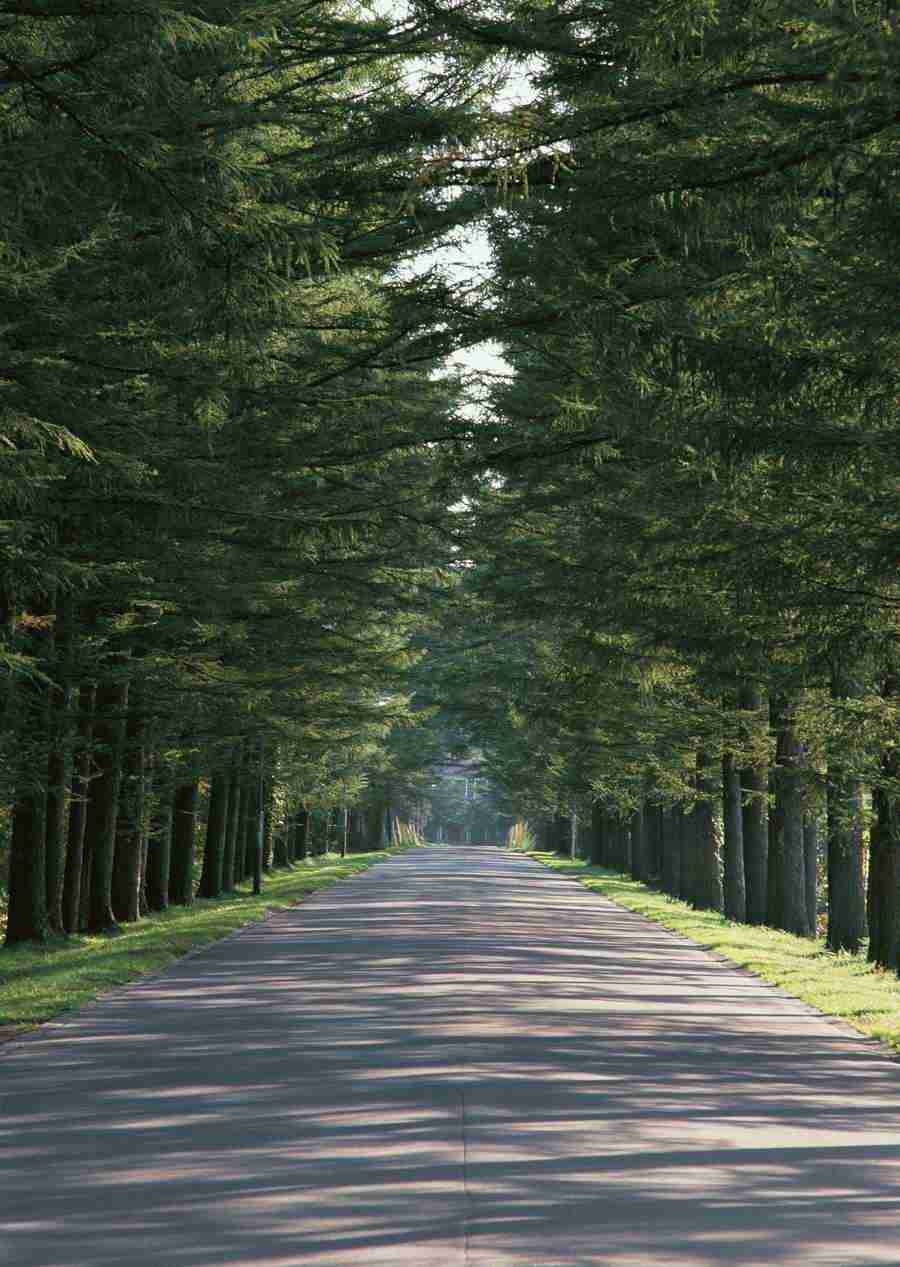 Landscapes Featuring Roads - Datacraft Sozaijiten  ></a>
<script language=JavaScript> 
  var txt = 