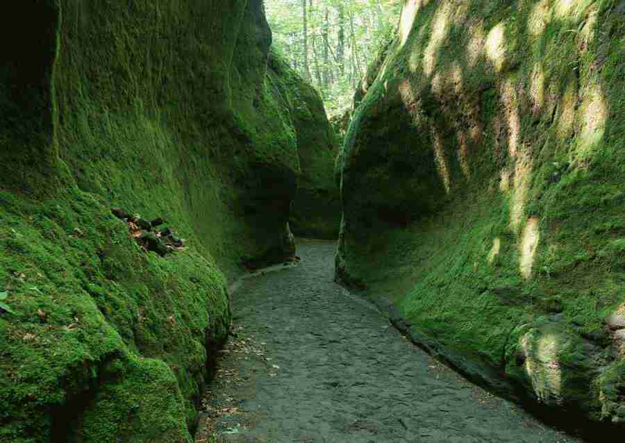 Landscapes Featuring Roads - Datacraft Sozaijiten  ></a>
<script language=JavaScript> 
  var txt = 