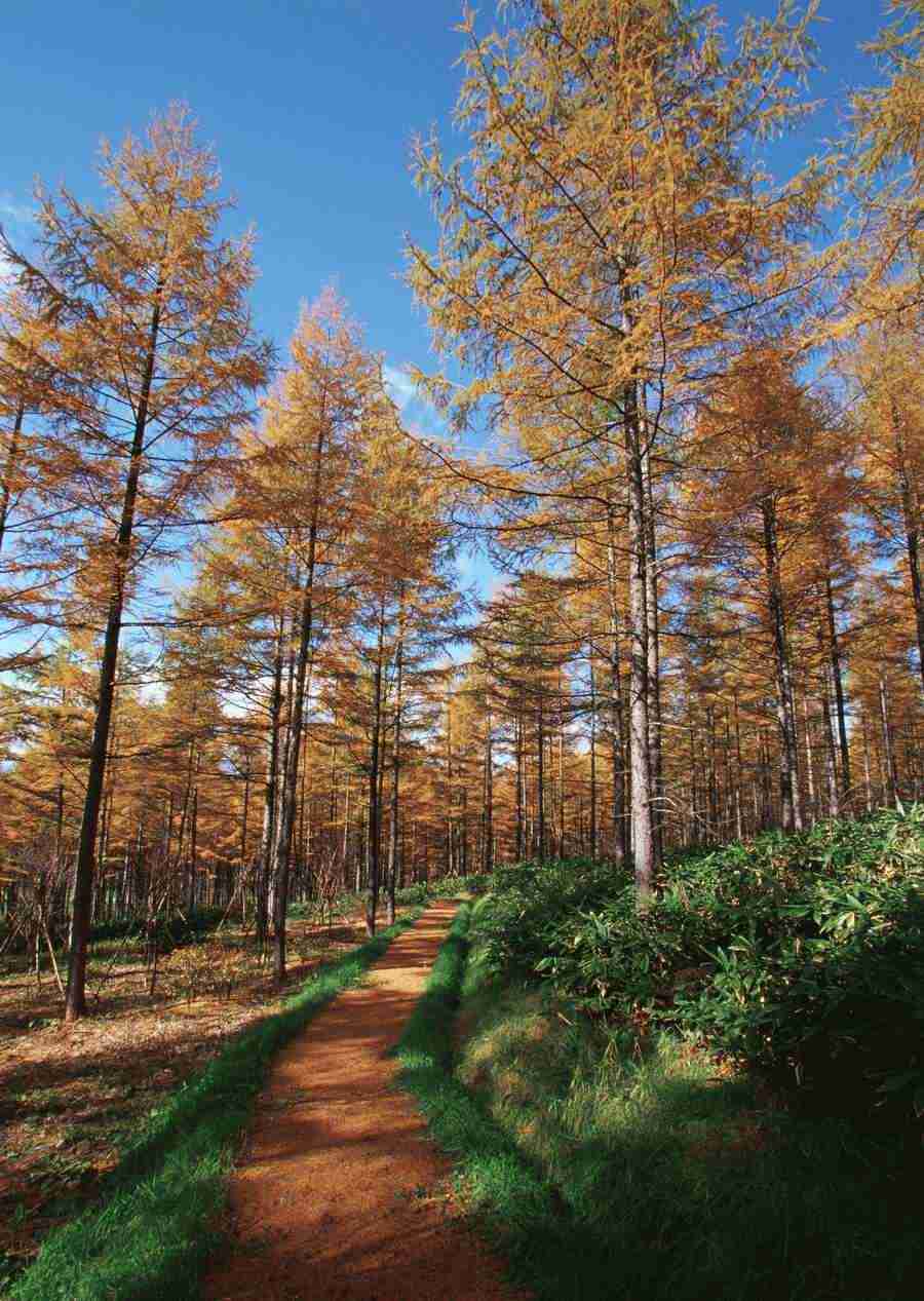 Landscapes Featuring Roads - Datacraft Sozaijiten  ></a>
<script language=JavaScript> 
  var txt = 