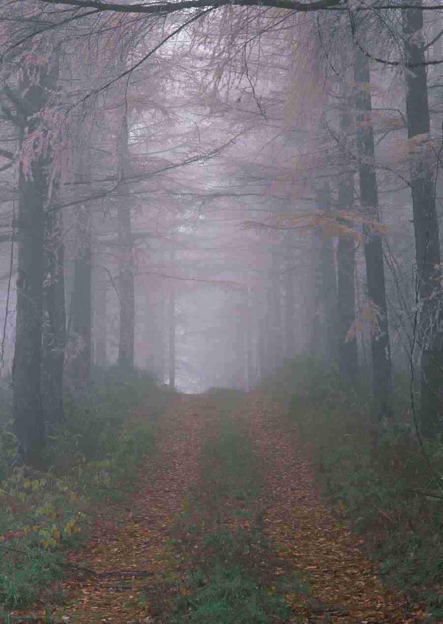 Landscapes Featuring Roads - Datacraft Sozaijiten  ></a>
<script language=JavaScript> 
  var txt = 