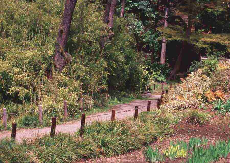 Landscapes Featuring Roads - Datacraft Sozaijiten  ></a>
<script language=JavaScript> 
  var txt = 