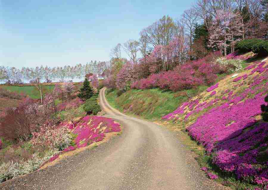 Landscapes Featuring Roads - Datacraft Sozaijiten  ></a>
<script language=JavaScript> 
  var txt = 