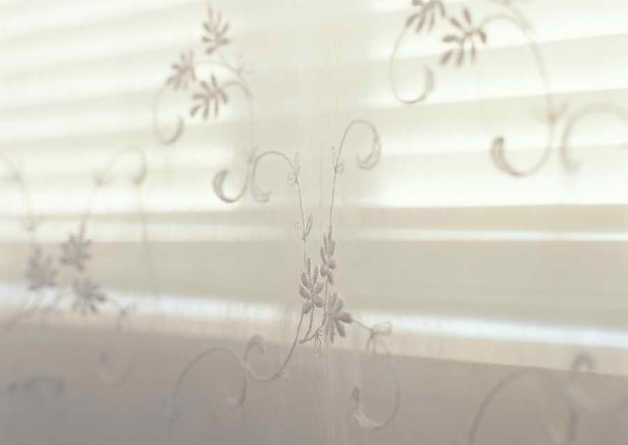 Living Space and Small Interior Items - Datacraft Sozaijiten  ></a>
<script language=JavaScript> 
  var txt = 