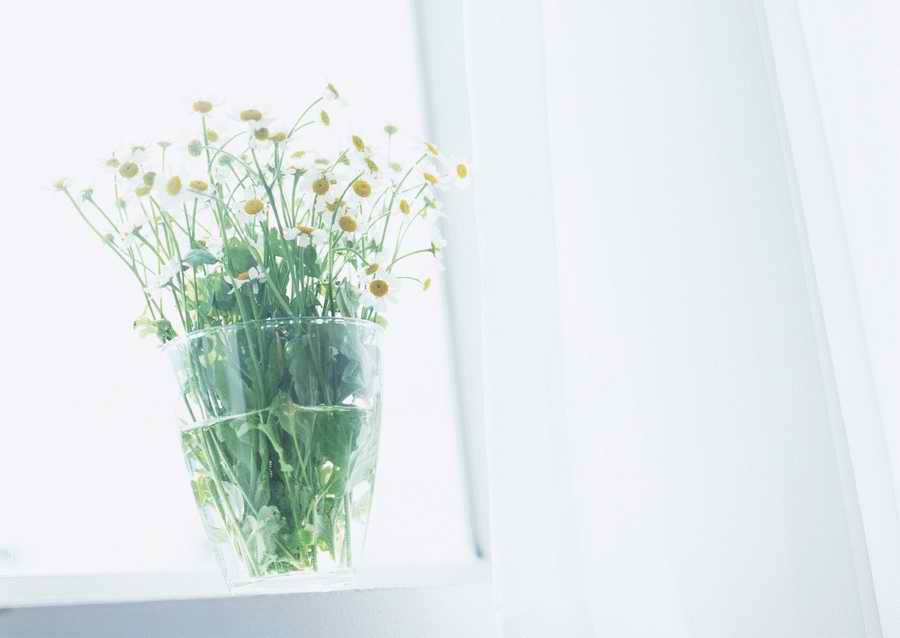 Living Space and Small Interior Items - Datacraft Sozaijiten  ></a>
<script language=JavaScript> 
  var txt = 