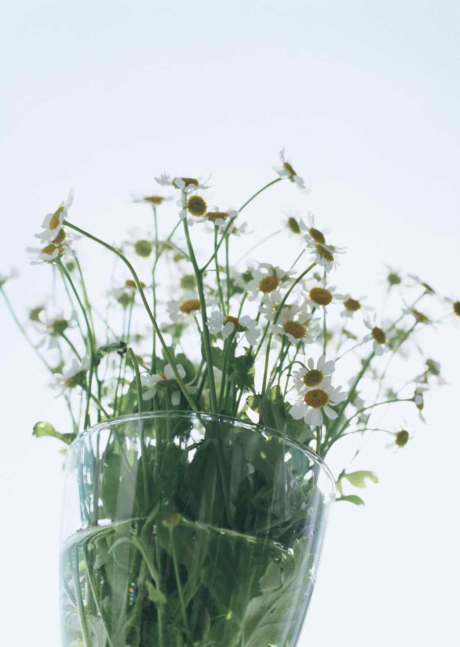 Living Space and Small Interior Items - Datacraft Sozaijiten  ></a>
<script language=JavaScript> 
  var txt = 