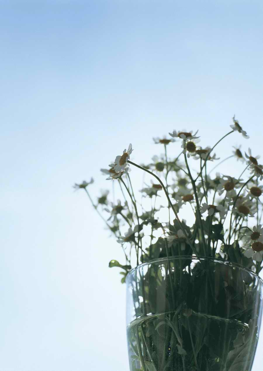 Living Space and Small Interior Items - Datacraft Sozaijiten  ></a>
<script language=JavaScript> 
  var txt = 