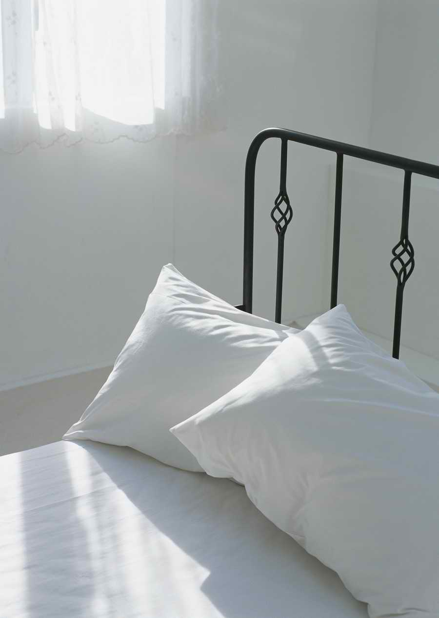 Living Space and Small Interior Items - Datacraft Sozaijiten  ></a>
<script language=JavaScript> 
  var txt = 