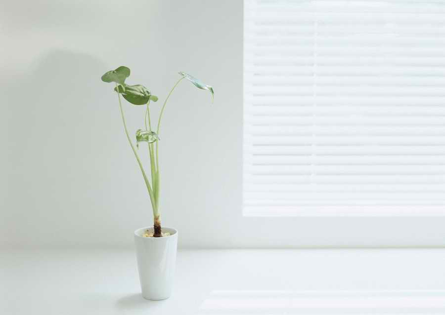 Living Space and Small Interior Items - Datacraft Sozaijiten  ></a>
<script language=JavaScript> 
  var txt = 