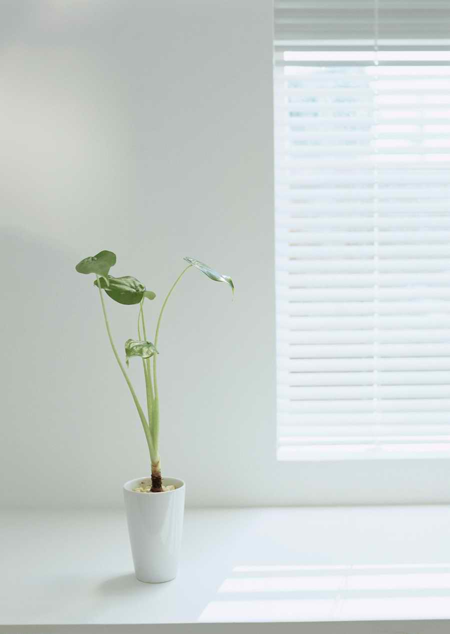 Living Space and Small Interior Items - Datacraft Sozaijiten  ></a>
<script language=JavaScript> 
  var txt = 