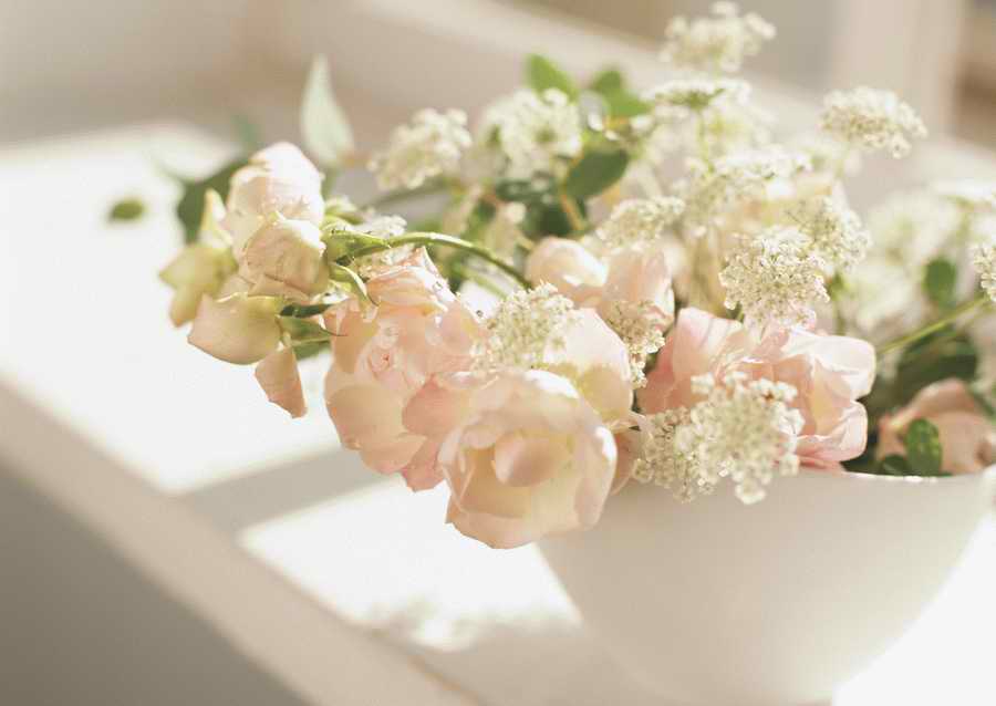 Living Space and Small Interior Items - Datacraft Sozaijiten  ></a>
<script language=JavaScript> 
  var txt = 