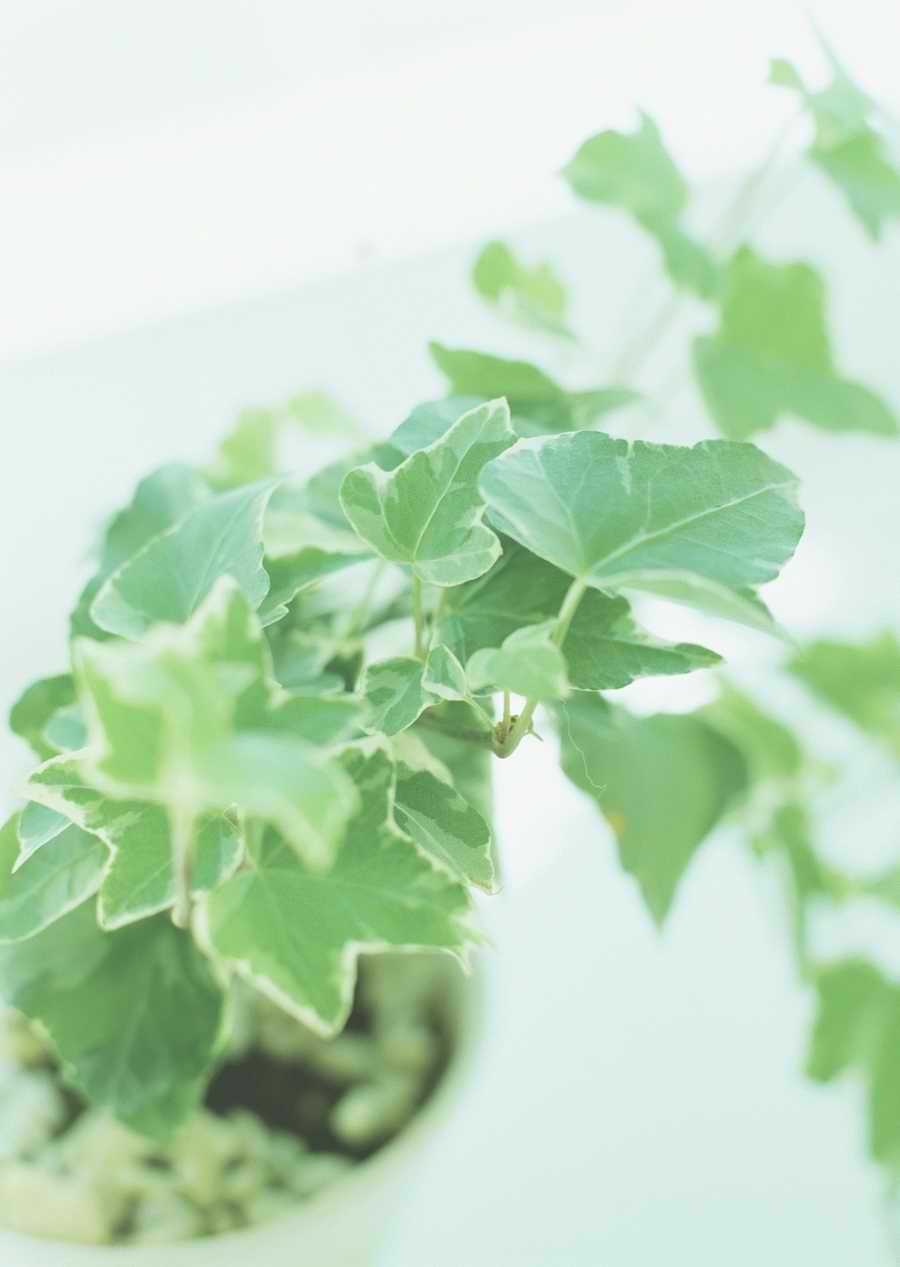 Living Space and Small Interior Items - Datacraft Sozaijiten  ></a>
<script language=JavaScript> 
  var txt = 