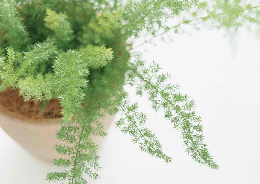 Living Space and Small Interior Items - Datacraft Sozaijiten  ></a>
<script language=JavaScript> 
  var txt = 