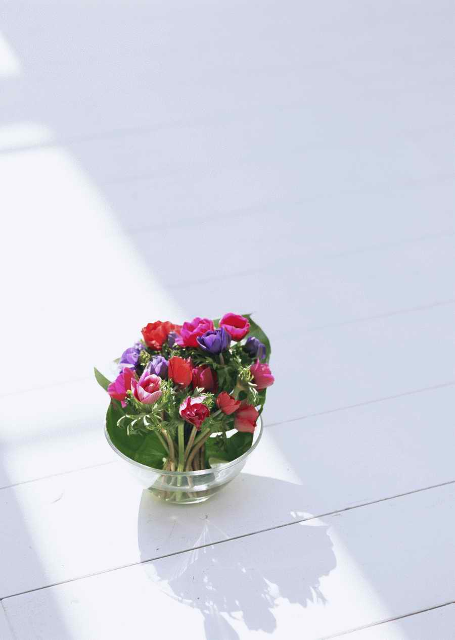 Living Space and Small Interior Items - Datacraft Sozaijiten  ></a>
<script language=JavaScript> 
  var txt = 