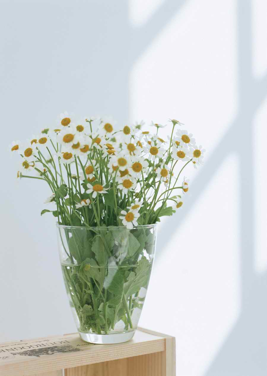 Living Space and Small Interior Items - Datacraft Sozaijiten  ></a>
<script language=JavaScript> 
  var txt = 