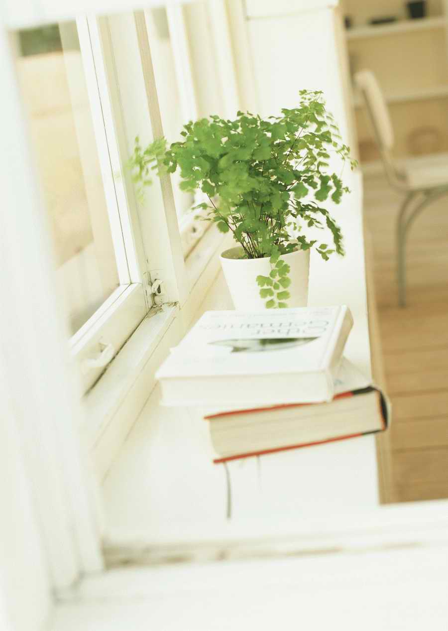 Living Space and Small Interior Items - Datacraft Sozaijiten  ></a>
<script language=JavaScript> 
  var txt = 