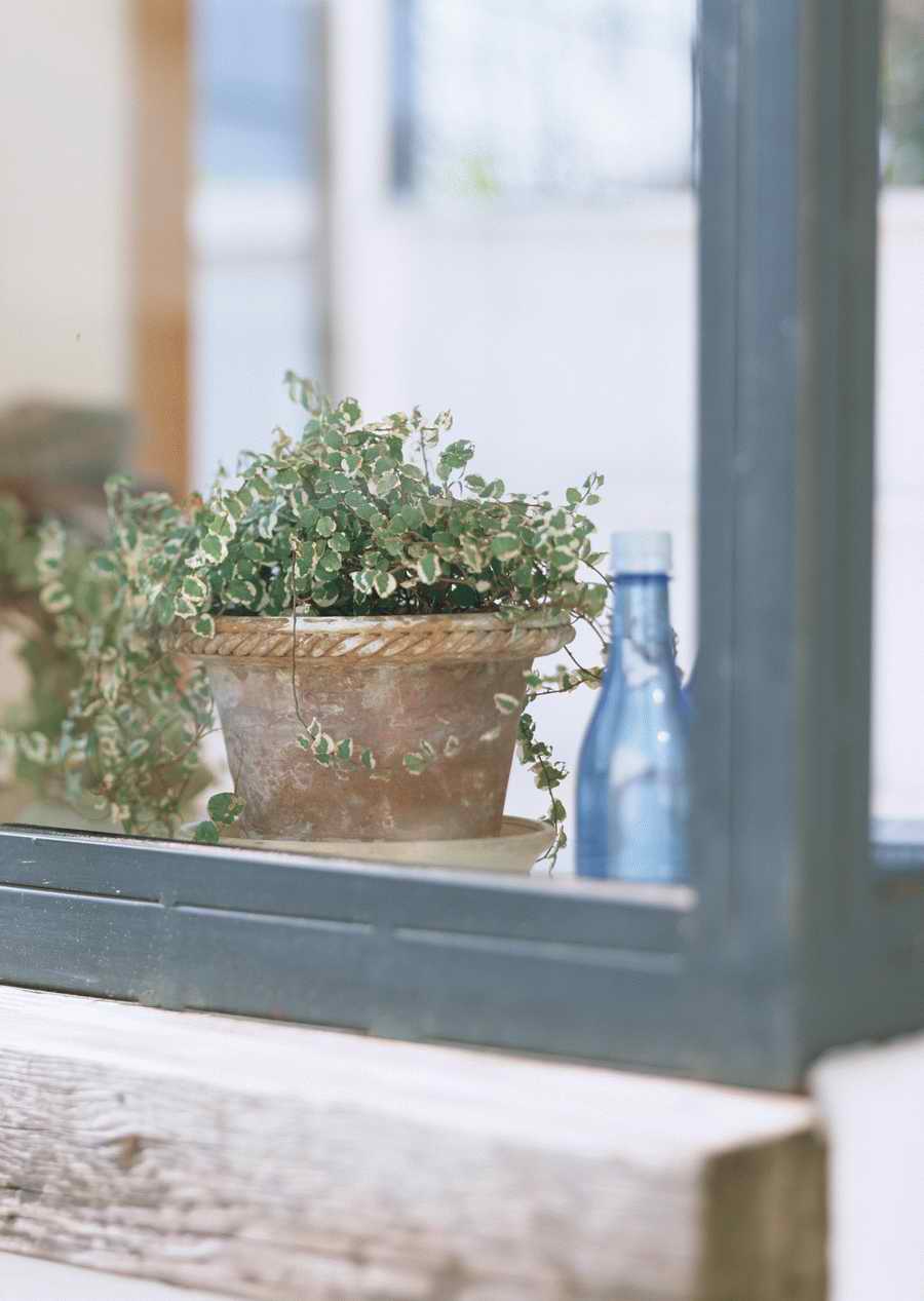 Living Space and Small Interior Items - Datacraft Sozaijiten  ></a>
<script language=JavaScript> 
  var txt = 