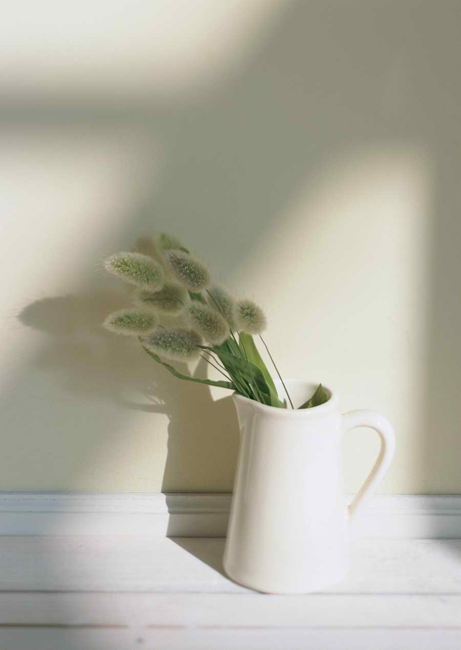 Living Space and Small Interior Items - Datacraft Sozaijiten  ></a>
<script language=JavaScript> 
  var txt = 