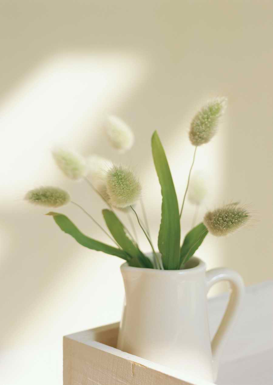 Living Space and Small Interior Items - Datacraft Sozaijiten  ></a>
<script language=JavaScript> 
  var txt = 