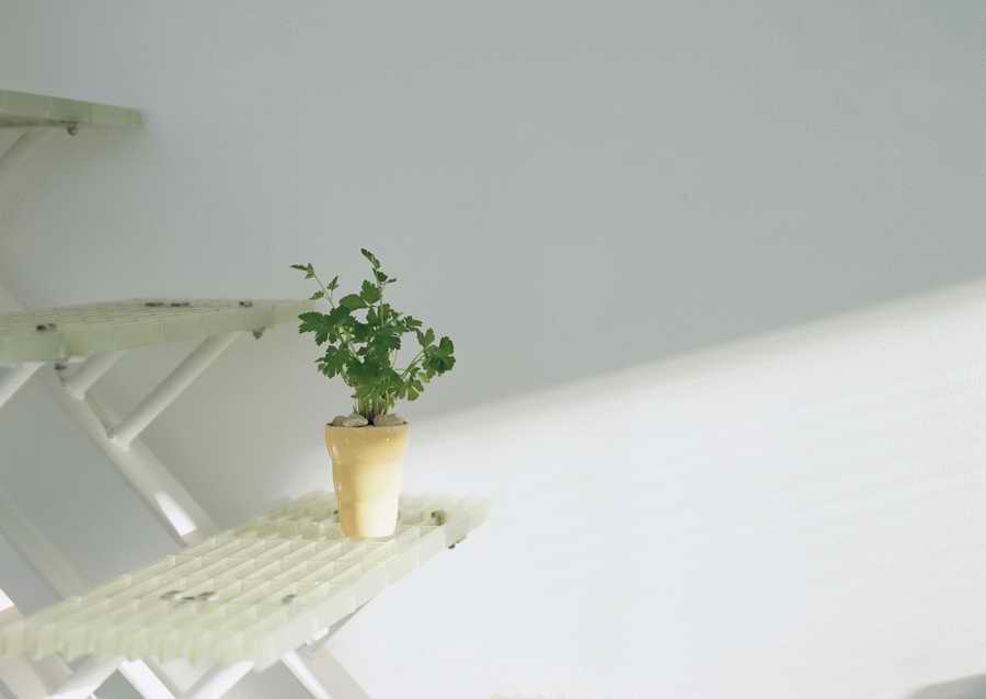 Living Space and Small Interior Items - Datacraft Sozaijiten  ></a>
<script language=JavaScript> 
  var txt = 