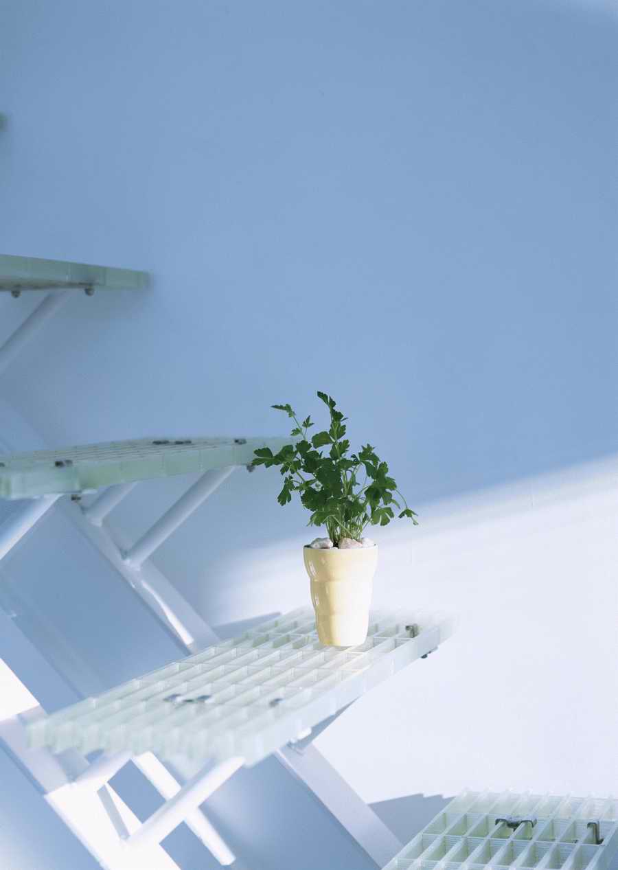 Living Space and Small Interior Items - Datacraft Sozaijiten  ></a>
<script language=JavaScript> 
  var txt = 