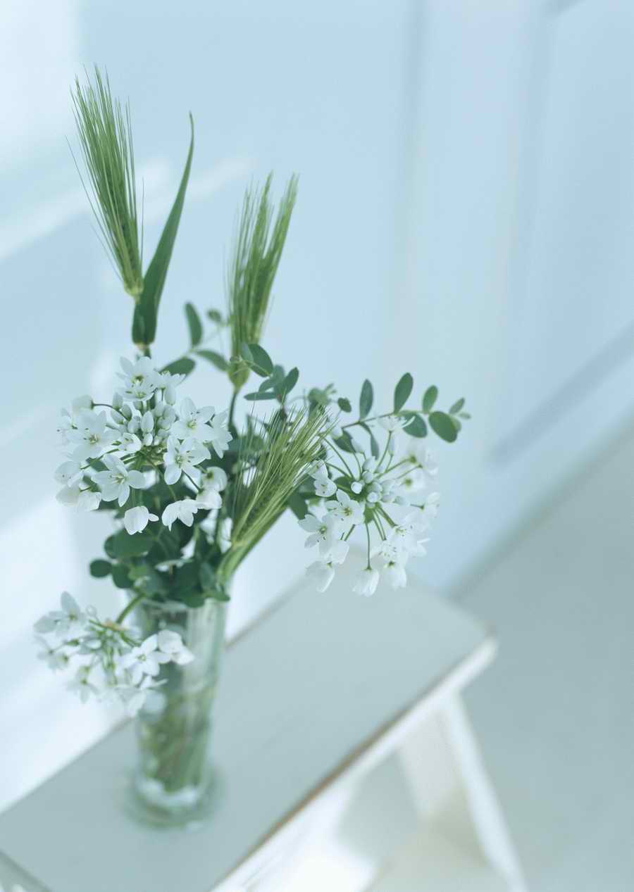 Living Space and Small Interior Items - Datacraft Sozaijiten  ></a>
<script language=JavaScript> 
  var txt = 