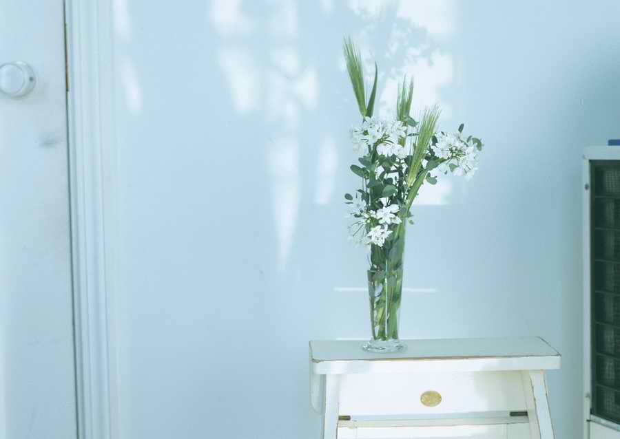 Living Space and Small Interior Items - Datacraft Sozaijiten  ></a>
<script language=JavaScript> 
  var txt = 