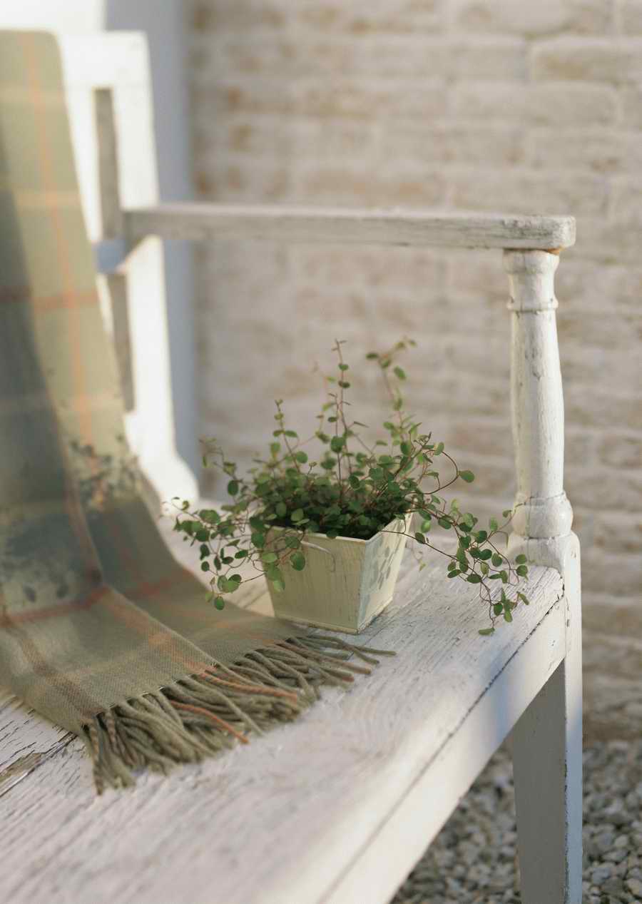 Living Space and Small Interior Items - Datacraft Sozaijiten  ></a>
<script language=JavaScript> 
  var txt = 