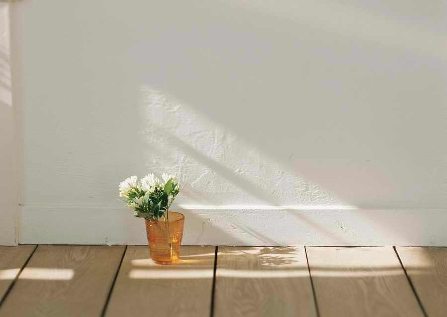 Living Space and Small Interior Items - Datacraft Sozaijiten  ></a>
<script language=JavaScript> 
  var txt = 