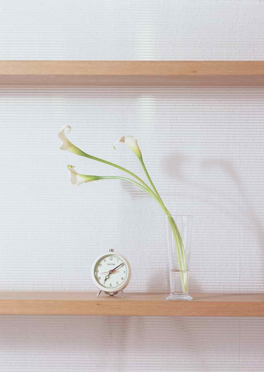 Living Space and Small Interior Items - Datacraft Sozaijiten  ></a>
<script language=JavaScript> 
  var txt = 