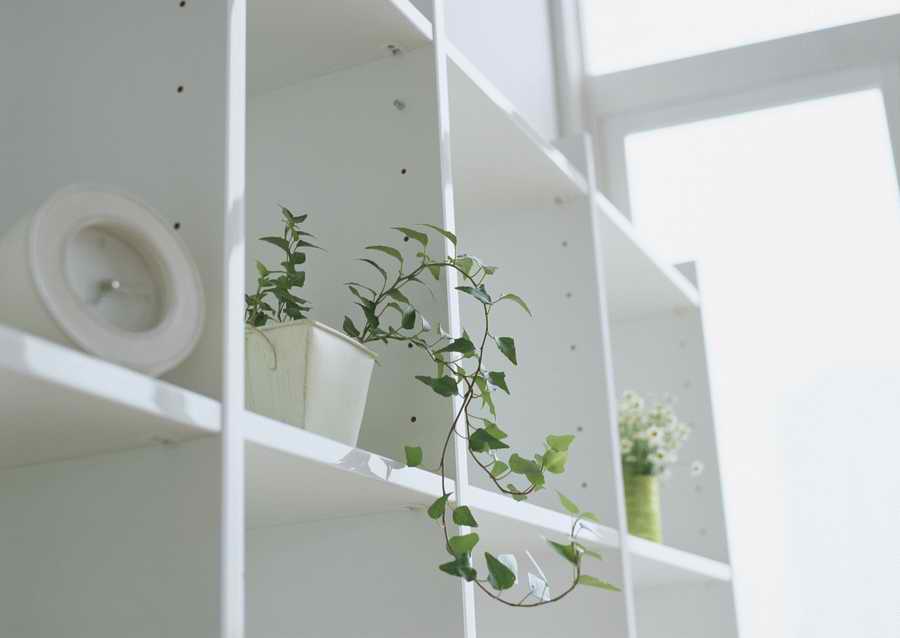 Living Space and Small Interior Items - Datacraft Sozaijiten  ></a>
<script language=JavaScript> 
  var txt = 