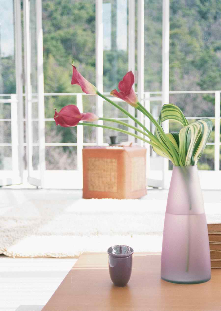 Living Space and Small Interior Items - Datacraft Sozaijiten  ></a>
<script language=JavaScript> 
  var txt = 