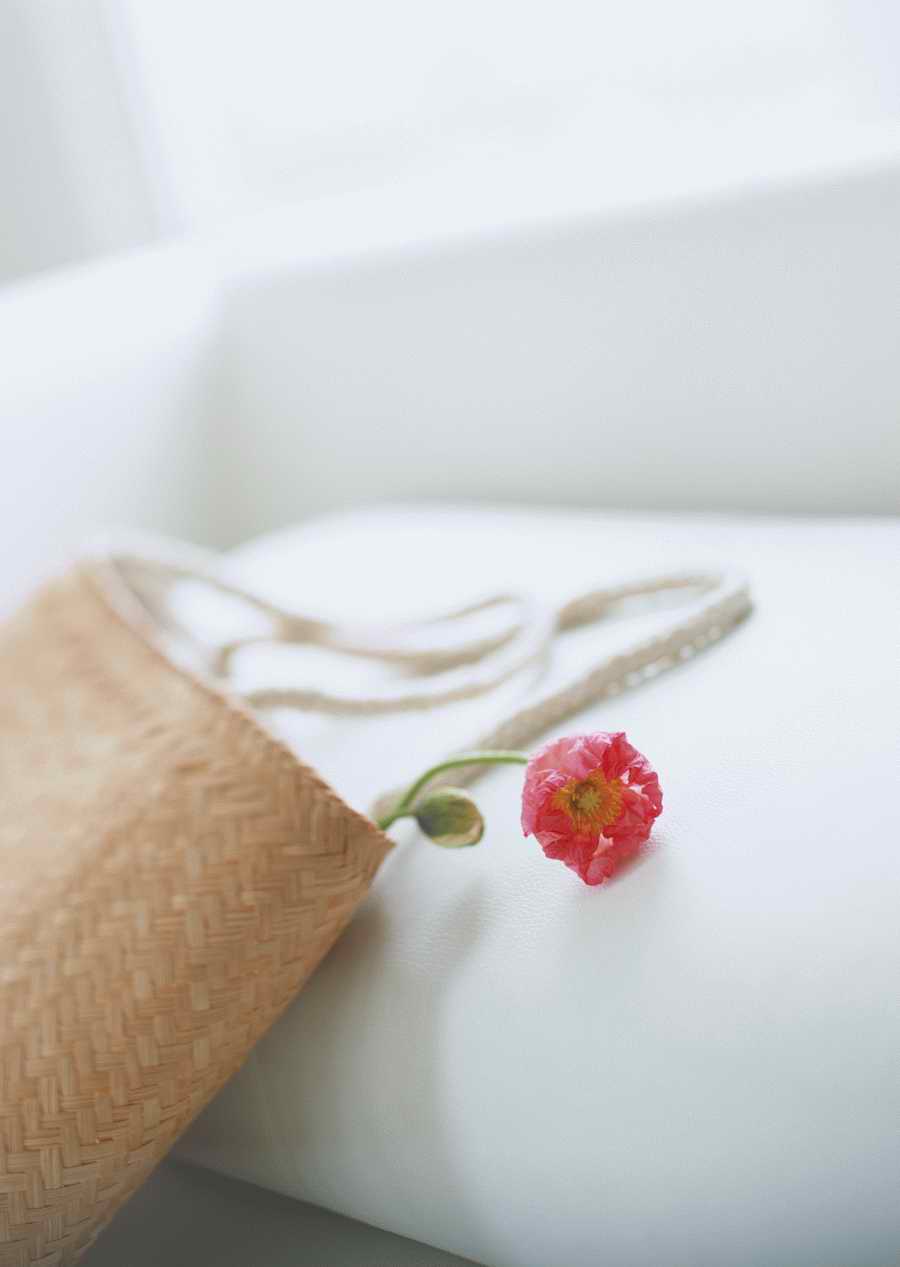 Living Space and Small Interior Items - Datacraft Sozaijiten  ></a>
<script language=JavaScript> 
  var txt = 