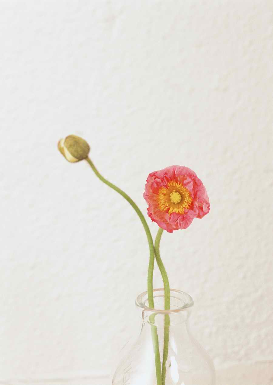 Living Space and Small Interior Items - Datacraft Sozaijiten  ></a>
<script language=JavaScript> 
  var txt = 